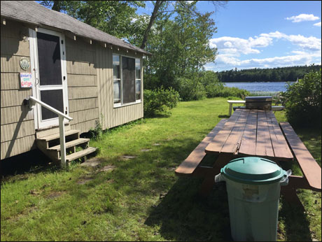 Have a picnic or barbecue by the lake